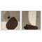 Stupell Industries Brown Hidden Lines 2 pc Framed Giclee Wall Art Set Design by Patricia Pinto